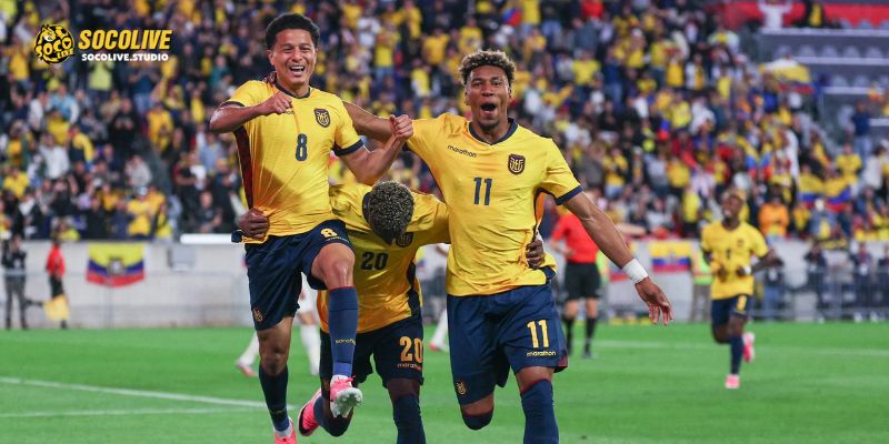 Các chiến binh Ecuador sẵn sàng tạo nên địa chấn trước "Cỗ xe tăng"